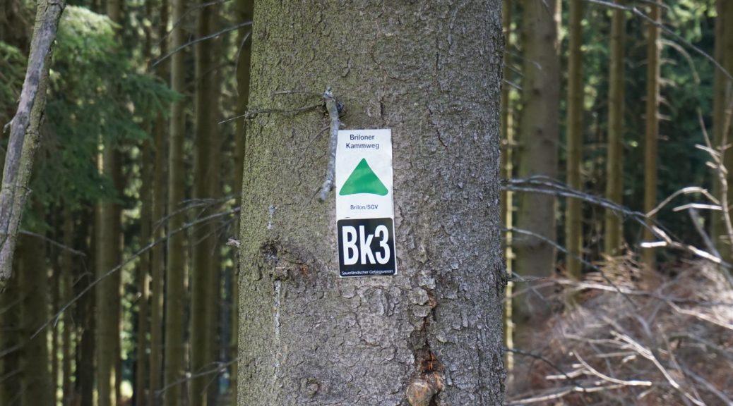 Briloner Kammweg