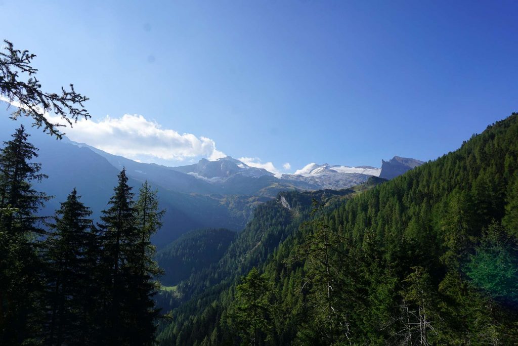 Blick zur Friesenbergscharte