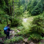 Traumpfad München Venedig Traumpfad München Venedig