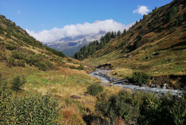 Stein - Pfunders Stein - Pfunders