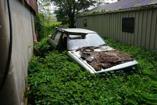 Vergessene Autos