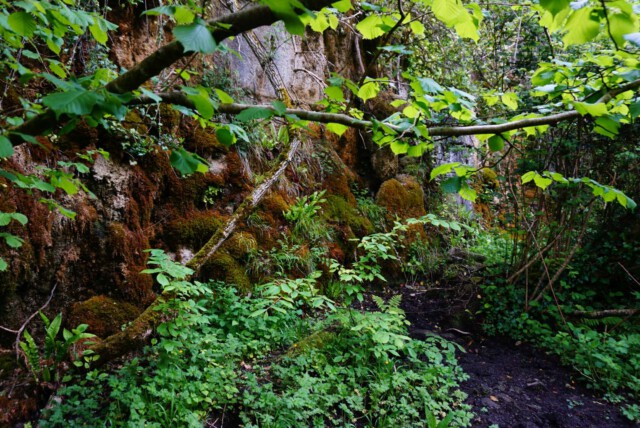 Fairy Glen Sligo