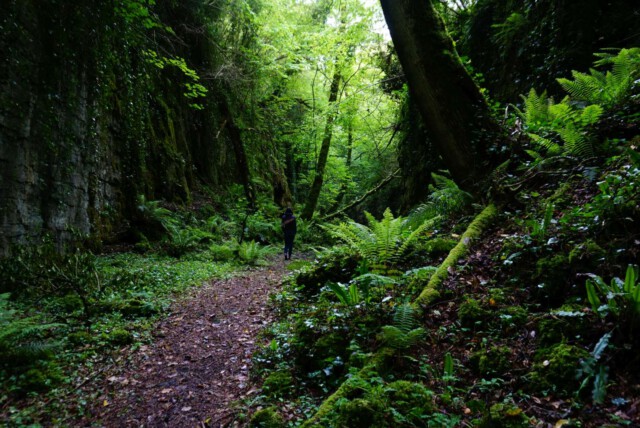 Fairy Glen Sligo