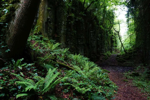 Fairy Glen Sligo